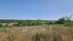  MAHMUDIA-TERENURI SI CASE - imagine 2