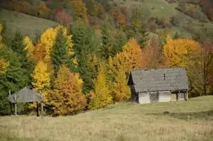 Gradina casuta lemne de 5000mp gradina