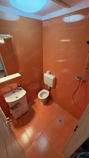 Apartament  3 camere, parter, zona Lipovei, direct de la proprietar - imagine 6
