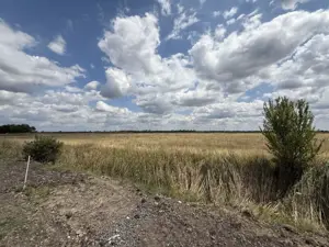 Teren 976 mp, regim S+P+2E, utilat,  COMISION 0%  - Torontalului