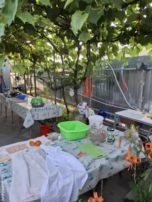 Casa cu teren de vanzare  - imagine 5