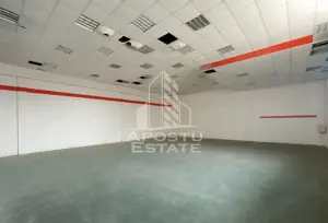 Hala pentru depozitare sau productie, 435 mp, Calea Sagului