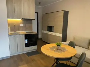 garsoniera de inchiriat in zona Aradului