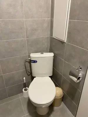 garsoniera de inchiriat in zona Aradului - imagine 4