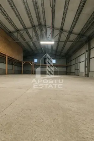 Hala depozitare, parcare, Dumbravita - imagine 2