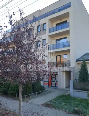 Spatiu Comercial - Marasti - Vitrina la Strada - 441 mp - imagine 13 Spatiu Comercial - Marasti - Vitrina la Strada - 441 mp - imagine 13