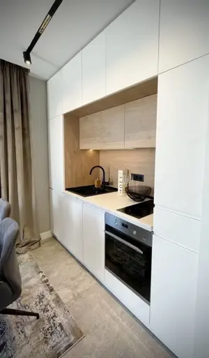 De inchiriat apartament 2 camere in zona Take Ionescu - imagine 3