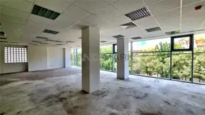 Cladire de birouri   servicii,  1000 mp , semicentral, Timisoara - imagine 6