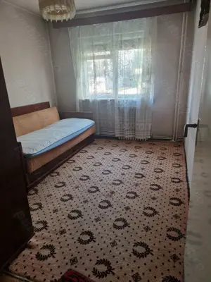 Spațiu ideal pentru firmă   Apartament 3 camere, 66 mp + beci   Deva, Str. Zarandului   Oferta limit - imagine 3