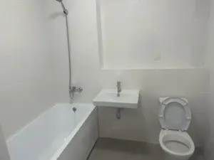 Apartament cu 2 camere de inchiriat zona Complex str Daliei - imagine 4