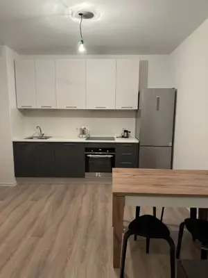 Apartament cu 2 camere de inchiriat zona Complex str Daliei - imagine 2