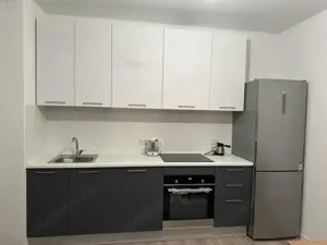 Apartament cu 2 camere de inchiriat zona Complex str Daliei - imagine 3