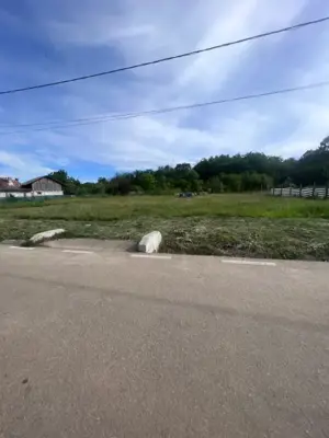 Teren Glamboc Deal, intravilan, asfalt, toate utilitatile - imagine 3