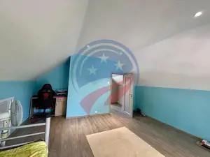 Vila cu 6camere de vanzare in Carcea/Dolj - imagine 8