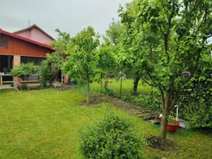 Vila Noua Mosnita Noua - imagine 2