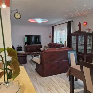 Vila Noua Mosnita Noua - imagine 12