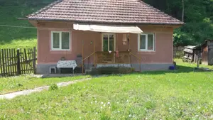 Vand casa in Mihaileni,com.Buces,jud.Hunedoara - imagine 3