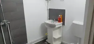 Vand casa in Mihaileni,com.Buces,jud.Hunedoara - imagine 6