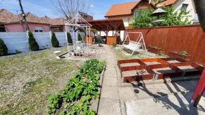 caut om NUMAI din Sibiu pentru intretinere gradina - imagine 3