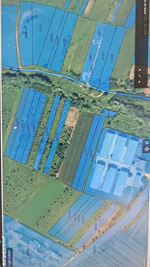 Vând teren in Mintia