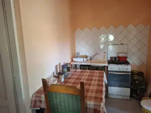 Ferma cu teren agricol de vanzare in Nadlac - imagine 8