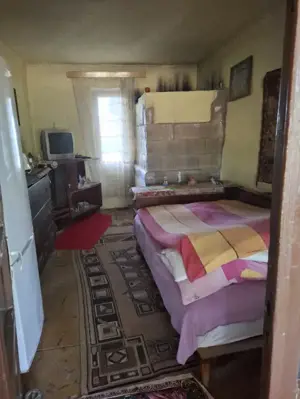 Ferma cu teren agricol de vanzare in Nadlac - imagine 14