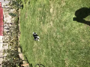 Casă de vânzare Casa Tineretului Craiova - imagine 6