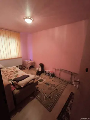 camin 2 camere - imagine 3