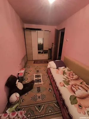 camin 2 camere - imagine 4