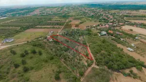 De vânzare Teren 3995mp intravilan Săldabagiu de Munte - imagine 9