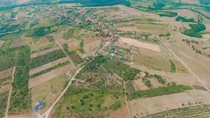 De vânzare Teren 3995mp intravilan Săldabagiu de Munte - imagine 8