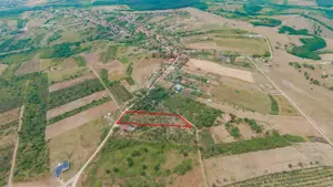 De vânzare Teren 3995mp intravilan Săldabagiu de Munte - imagine 2