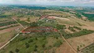 De vânzare Teren 3995mp intravilan Săldabagiu de Munte - imagine 3