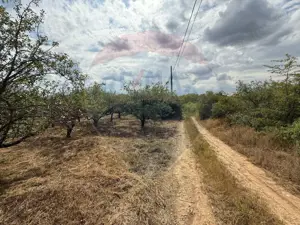 De vânzare Teren 3995mp intravilan Săldabagiu de Munte - imagine 10