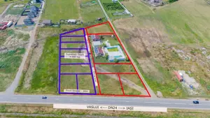 Teren Intravilan de Vânzare 4,000mp Deschidere la DN24 intrare Vaslui - imagine 2