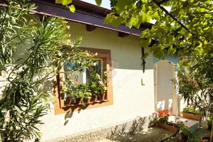 Casă cu teren de vanzare in Rugionasa iasi - imagine 2