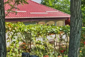 Casă cu teren de vanzare in Rugionasa iasi - imagine 9