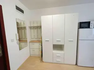 Apartament de inchiriat cu o camera in zona Torontalului