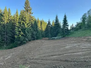 Teren intravilan Piatra Fantanele 4950mp