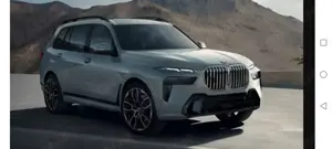 Șofer personal cu experienta