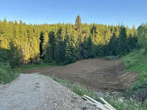 Teren intravilan Piatra Fantanele 4950mp - imagine 5