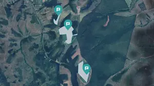 Pădure 50,7 ha în județul Arad - imagine 1