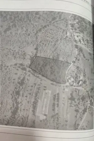 Vand teren Campuri de Sus de 7.755mp2