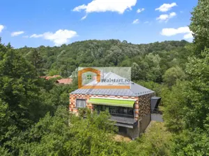 Cornu, Vedere la Padure, Vila D+P+M, 6600mp teren, 4 parcare - imagine 8