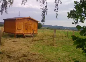 Teren de vanzare la marginea pădurii, aproape de Săliște, jud Sibiu