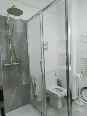 Afacere funcțională - ap 2 camere regim hotelier Băile Felix - imagine 8