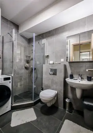 apartament cu o camera de inchiriat in zona Balcescu - imagine 3