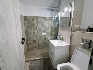 Apartament 3 Camere Popa Sapca - imagine 3