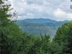 De vanzare: Apartament 3 camere premium Belveo - imagine 20