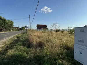Teren intravilan 5000 mp, str. Aeroportului, Cârcea   52 m deschidere - imagine 8